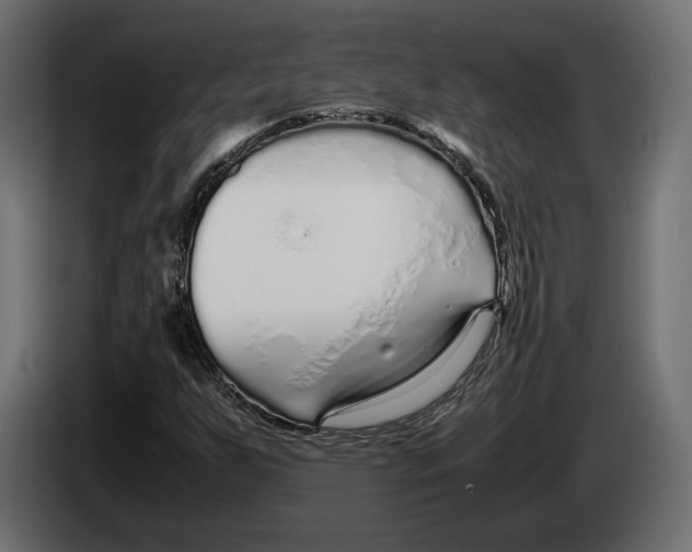 X0000083001255200703020857