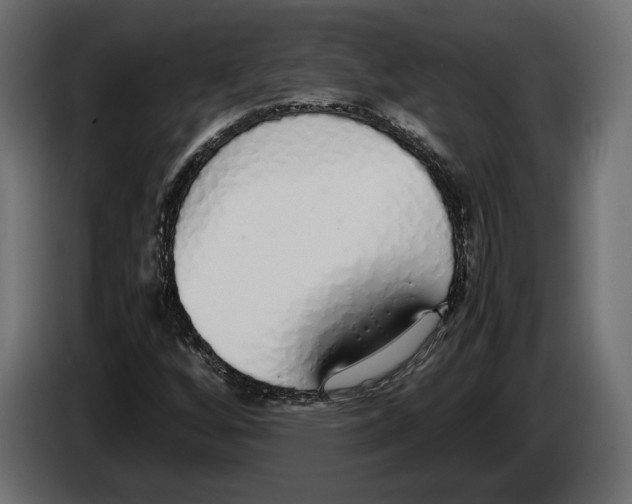 X0000083001256200703020857