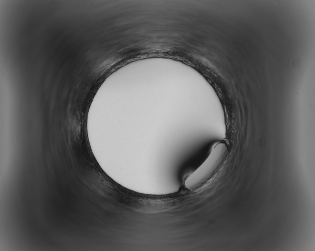 X0000083001257200703020857