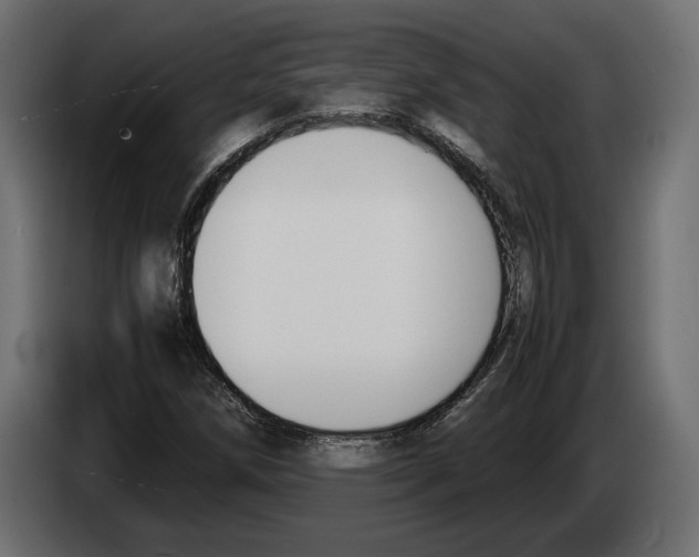 X0000083001258200703020857