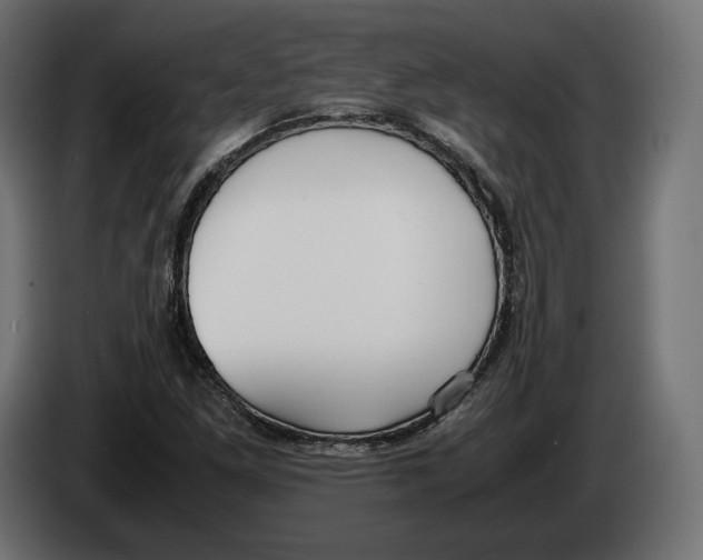 X0000083001261200703020857