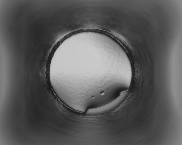 X0000083001264200703020857