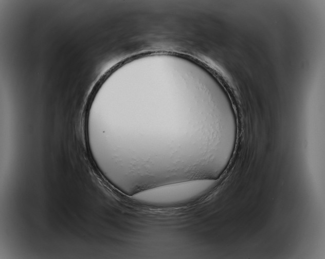 X0000083001272200703020857