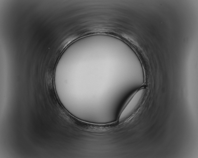 X0000083001273200703020857