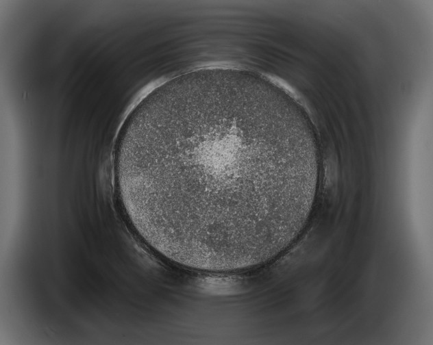 X0000083001274200703020857