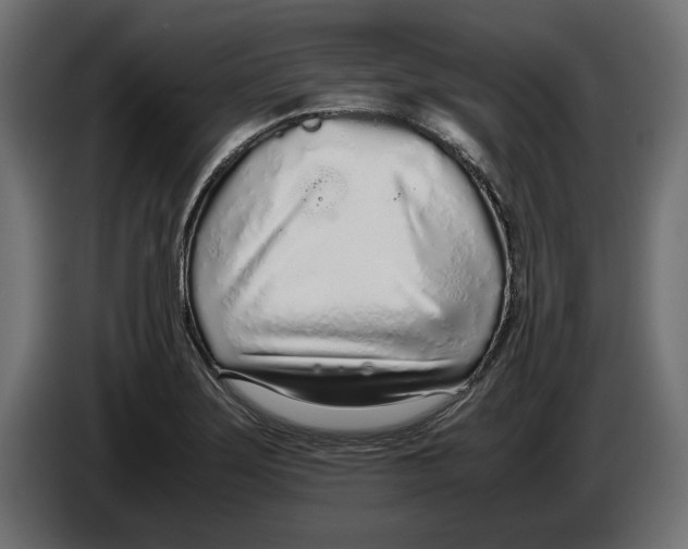 X0000083001275200703020857