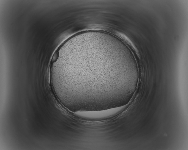 X0000083001276200703020857