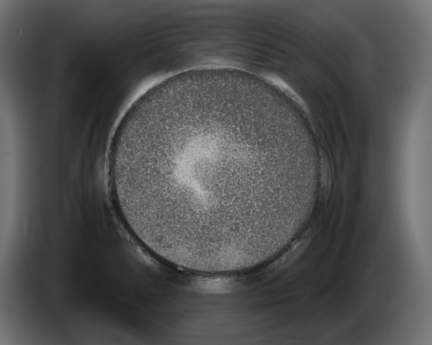 X0000083001278200703020857