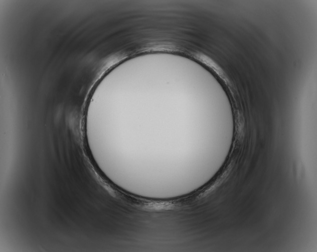 X0000083001282200703020857