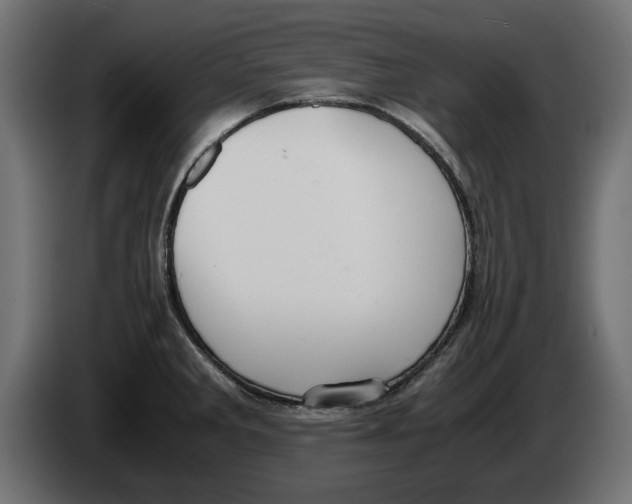 X0000083001285200703020857