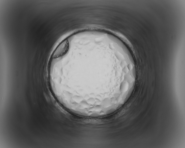 X0000083001287200703020857