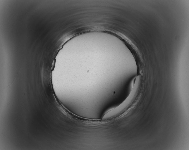 X0000083001289200703020856