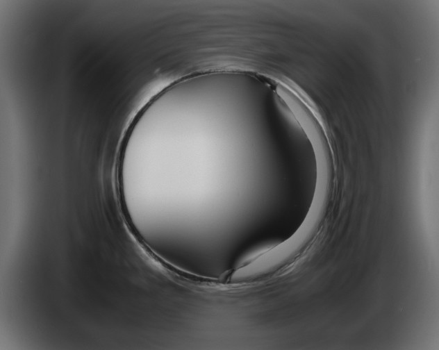 X0000083001293200703020856