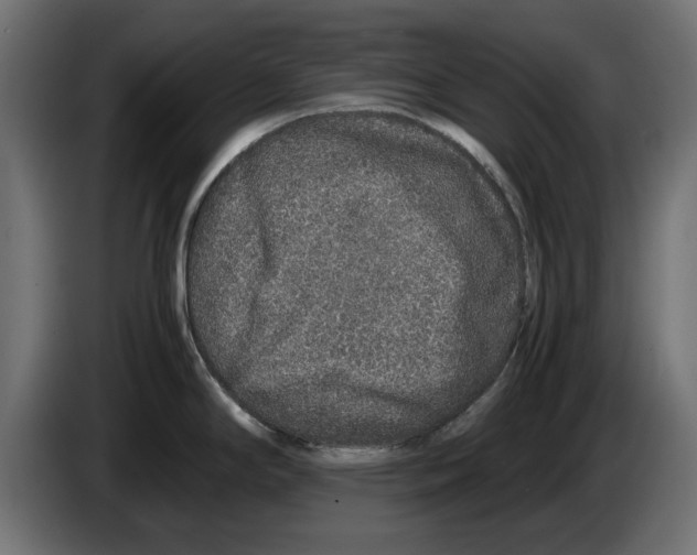 X0000083001294200703020856