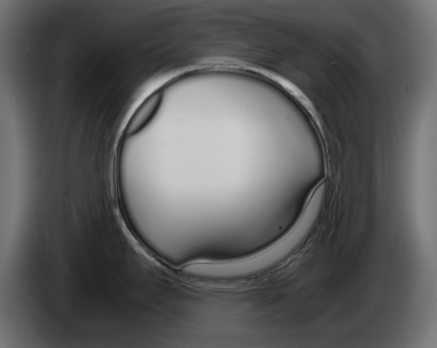 X0000083001295200703020856