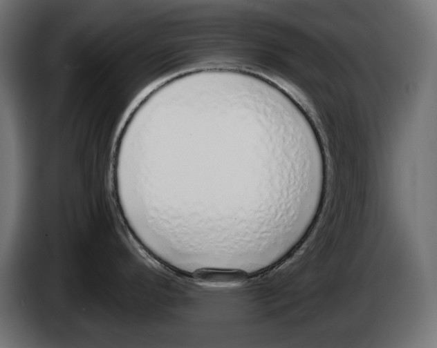 X0000083001296200703020856