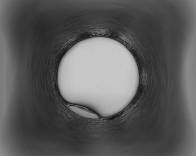 X0000083001297200703020856