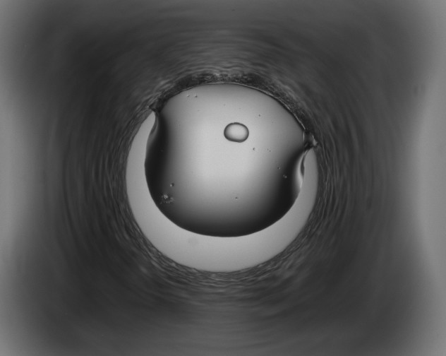 X0000083001298200703020856