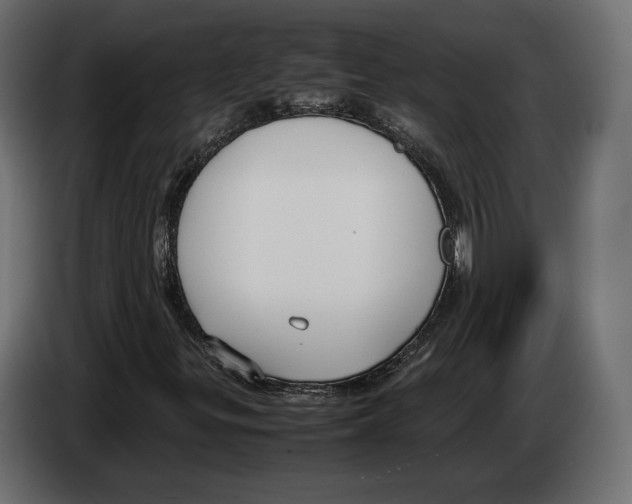 X0000083001299200703020856