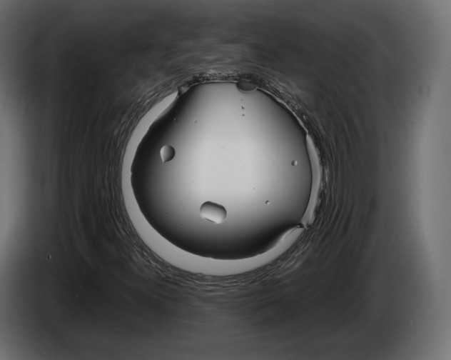 X0000083001300200703020856