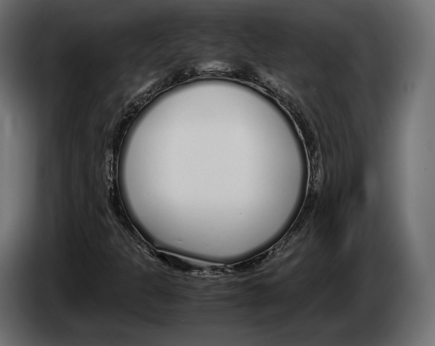 X0000083001301200703020856