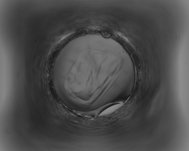 X0000083001303200703020856