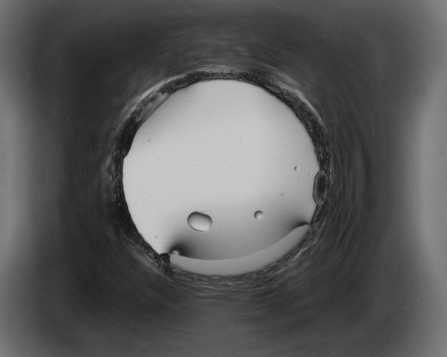 X0000083001304200703020856