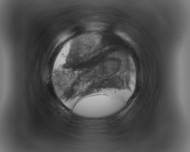 X0000083001306200703020856