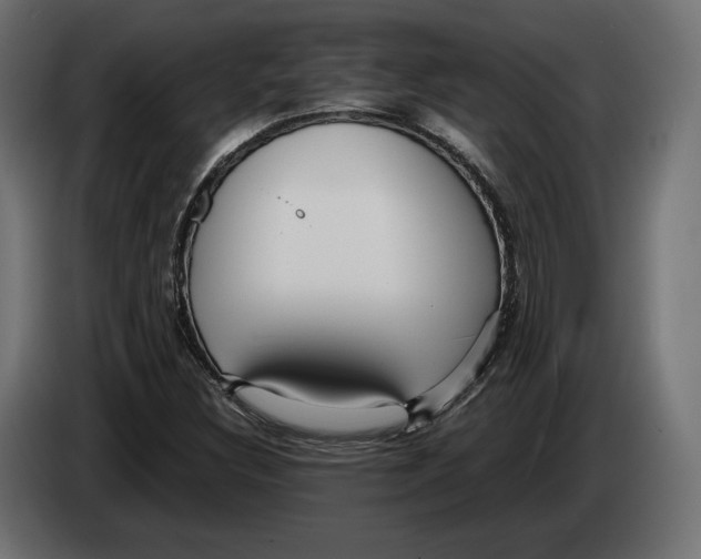 X0000083001308200703020856