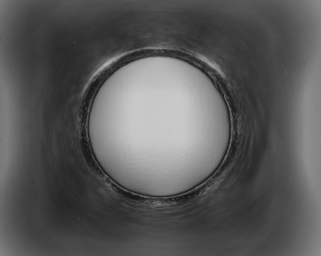 X0000083001311200703020856