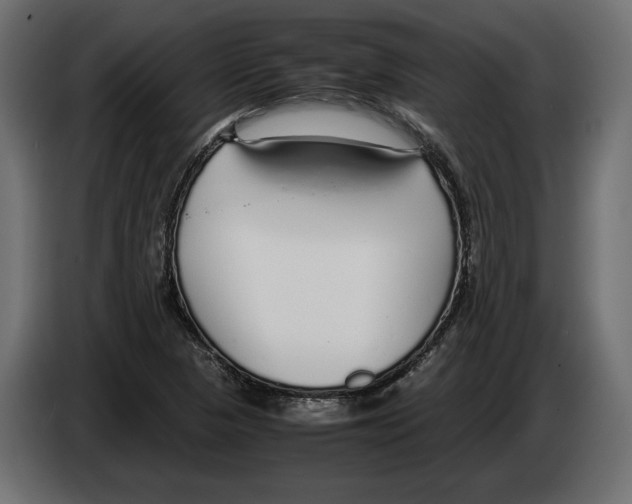 X0000083001313200703020856