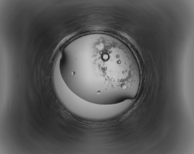 X0000083001314200703020856