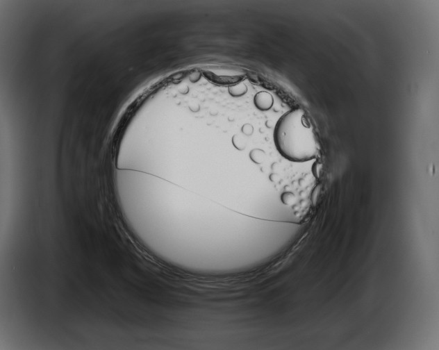 X0000083001318200703020856