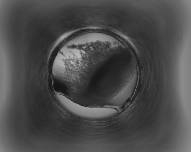 X0000083001319200703020856