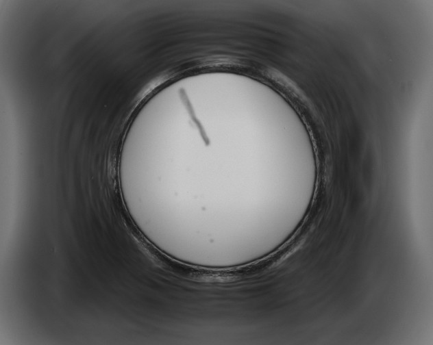 X0000083001321200703020856