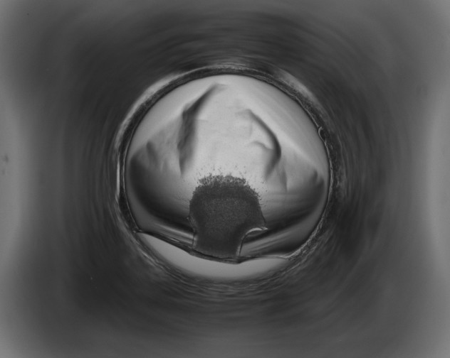 X0000083001323200703020856