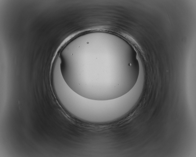 X0000083001324200703020856