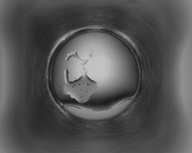 X0000083001327200703020856