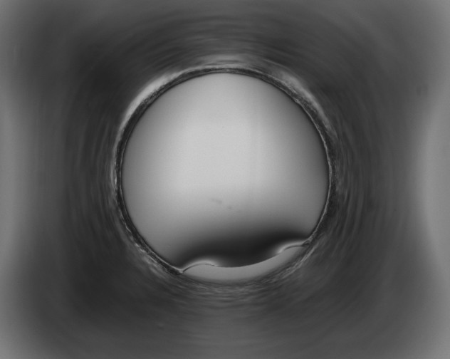 X0000083001328200703020856