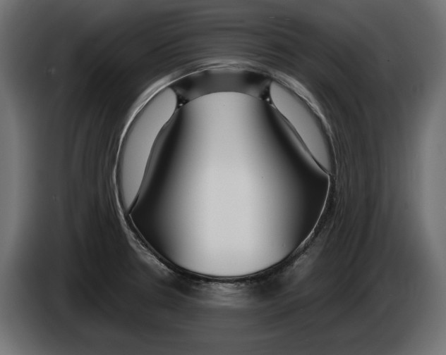 X0000083001330200703020856