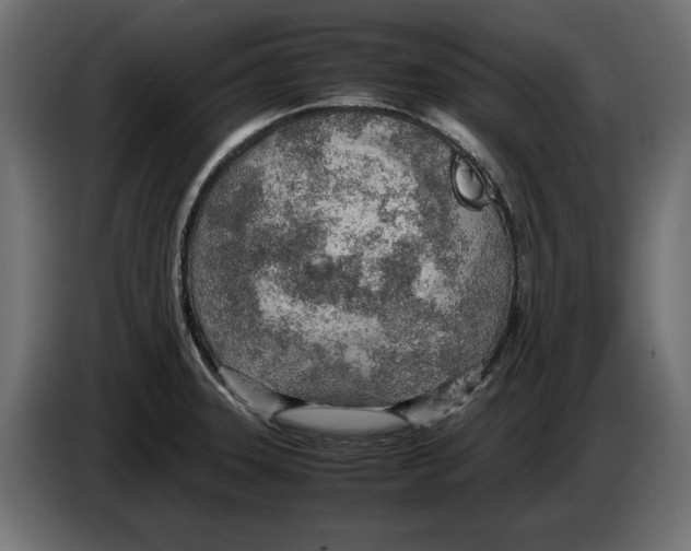 X0000083001331200703020856