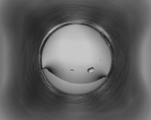 X0000083001332200703020856