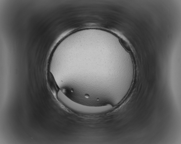 X0000083001333200703020856