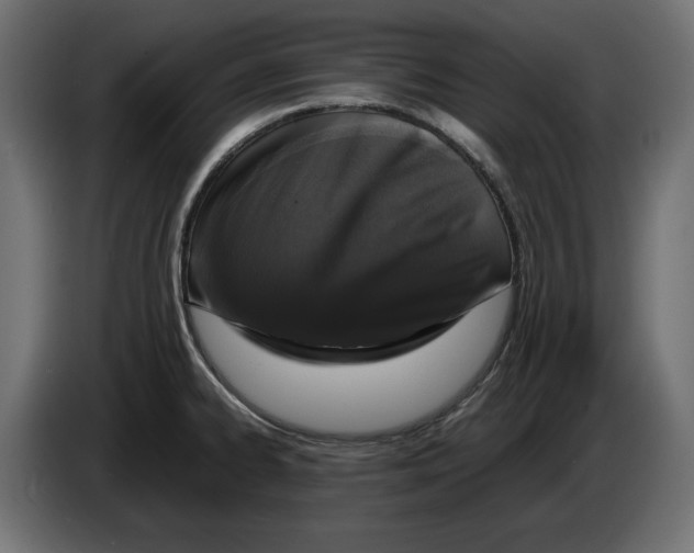 X0000083001334200703020856