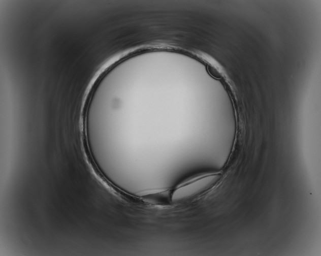 X0000083001335200703020856