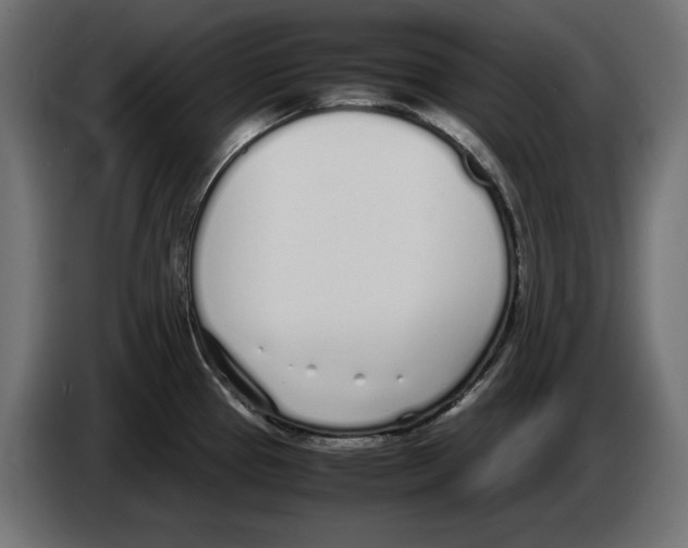 X0000083001337200703020856