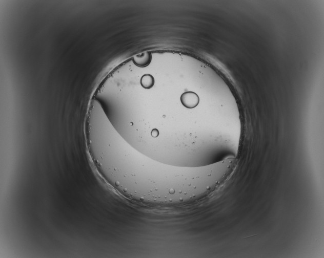 X0000083001338200703020856