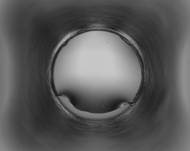 X0000083001341200703020856