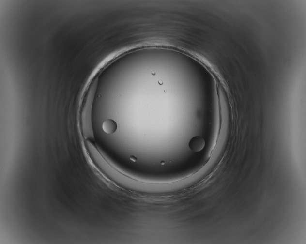 X0000083001342200703020856