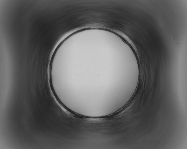 X0000083001343200703020856